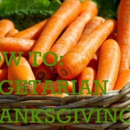 How to: A Vegetarian Thanksgiving