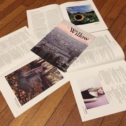 Club Coverage: Willow Literary Magazine