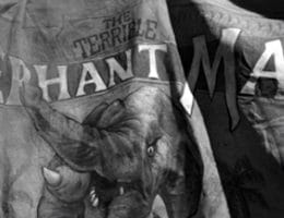 Elephant Man Premieres at Casino Theater