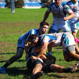 Men’s Rugby Advances to National Final Four