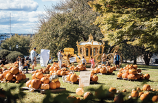 October in Newport