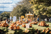October in Newport